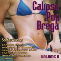 Wanderley Andrade - Traficante do Amor