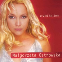 Przed Switem - Małgorzata Ostrowska