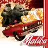 Malibu Shark Attack! - Doing It Wrong