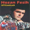 Hozan Feshi - Derde Dinyaye