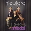 Niewiara (Monteiro 2013 Remix) - Single