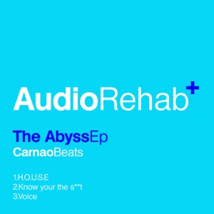 The Abyss - Single