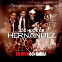 En Vivo Con Banda - Los Hijos De Hernández