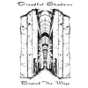 Dreadful Shadows - Ties of Time