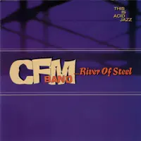 Block Party — CFM Band