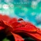 Files - Sinetone lyrics