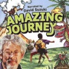 Amazing Journey