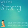 Will Pall