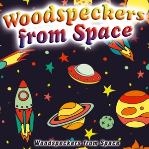Woodspeckers from Space - Single