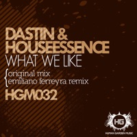 What We Like - Single - Dastin & HouseEssence