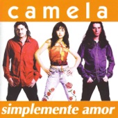 Simplemente Amor artwork