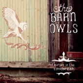 The Barn Owls - True Life Blues