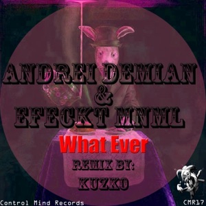 What Ever - Single