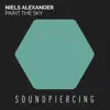 Niels Alexander - Paint the Sky (Radio Edit)