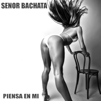 Senor Bachata - Piensa en Mí (feat. Marxia) artwork