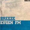 Breeze - Single