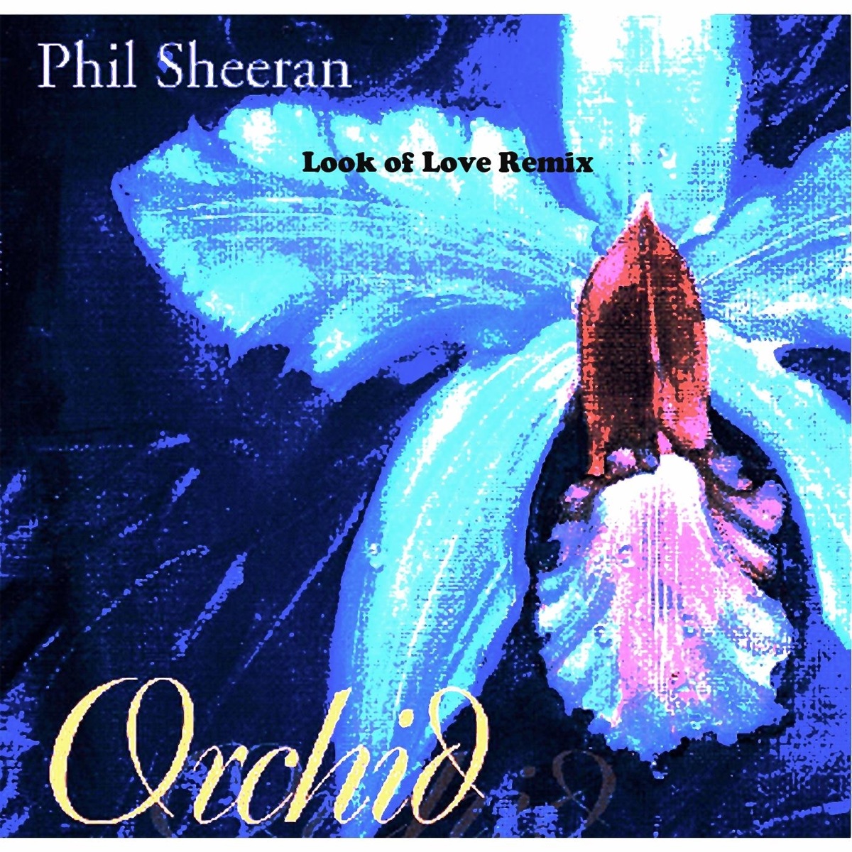 Orchid - Album by Phil Sheeran - Apple Music