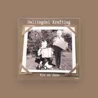 Hallingdal Kraftlag