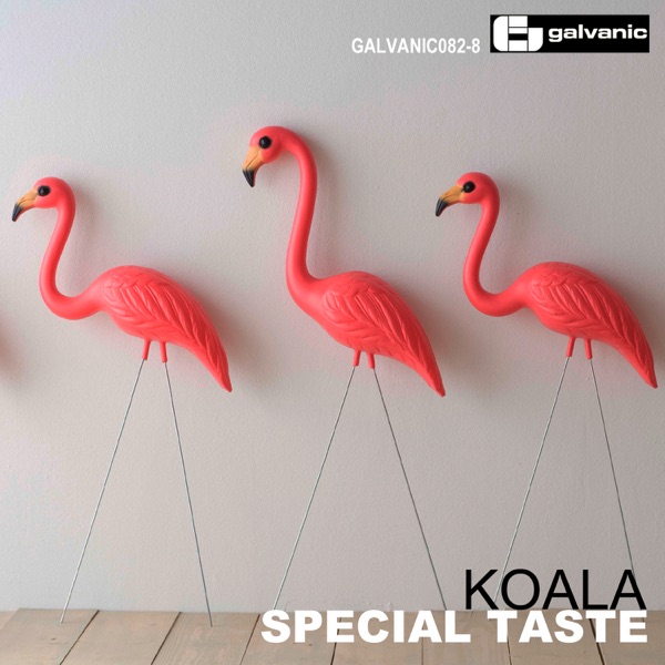 Special Taste - Single