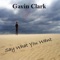 Give Me a Sign - Gavin Clark lyrics