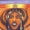 Red Buddha - Bororo's Dance