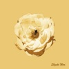 Shizuko Mori - 토토의 즐거운 하루 (From "꽃보다 할배")