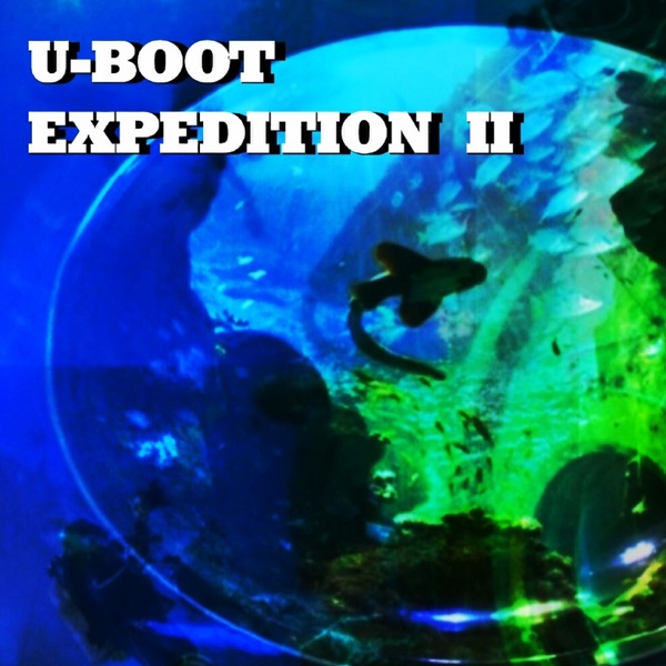 U-Boot - Successful Rescue