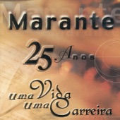 Marante, 25 Anos de uma Vida, Uma Carreira artwork