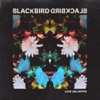 Blackbird Blackbird