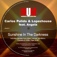 Sunshine in the Darkness (Remixes) [feat. Angela] - Carlos Pulido & Lopezhouse
