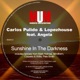 Sunshine in the Darkness Remixes feat Angela