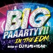 BIG PAAARTYY!! IN THE EDM mixed by DJ FUMI★YEAH! artwork