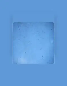 Écoutez Stars of the Zodiac, regardez des vidéoclips, lisez la biographie, consultez les dates de tournée et plus encore !