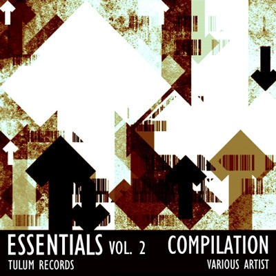 Essentials, Vol. 2