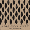 Dark - Luke Sital-Singh
