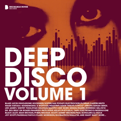 Deep Disco Volume 1 (Deluxe Version)
