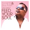Feed Your Soul - Incognito & Rice Artists Remixed