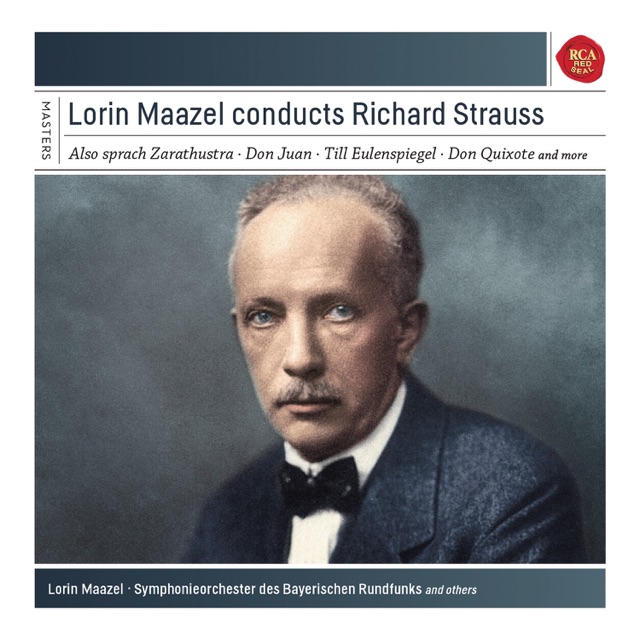 Ein Heldenleben, Op. 40: Der Held
