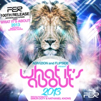 What It's About 2013 - Single - A-Divizion & MC Flipside