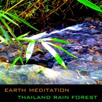 Thailand Rain Forest - Earth Meditation