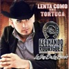 Lenta Como una Tortuga - Single