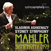 Symphony No. 1 in D Major: III. Feierlich end gemessen, ohne zu schleppen (Live) artwork