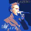 Gazebo - Love in Your Eyes (Live)