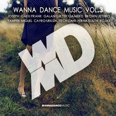 Wanna Dance Music, Vol.3