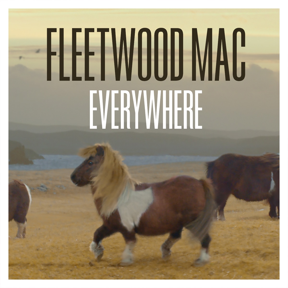 Everywhere (Remastered) - Single - Album by Fleetwood Mac - Apple Music