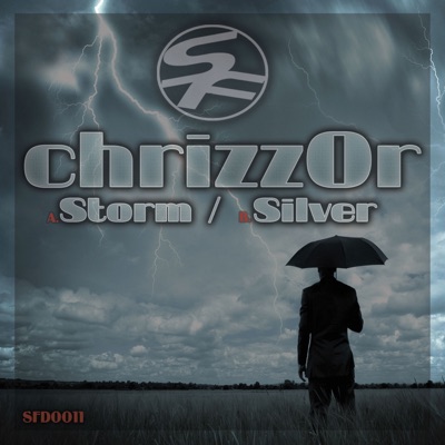 Storm / Silver - Single