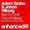 Two to One (Dub Mix) [feat. Johnny Norberg] - Adam Szabo & Johan Vilborg lyrics