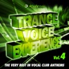 Trance Voice Experience, Vol. 4 (The Very Best in Vocal Club Anthems), 2014