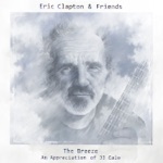 Eric Clapton - Sensitive Kind (feat. Don White)