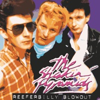 Tennessee Rock 'n' Roll